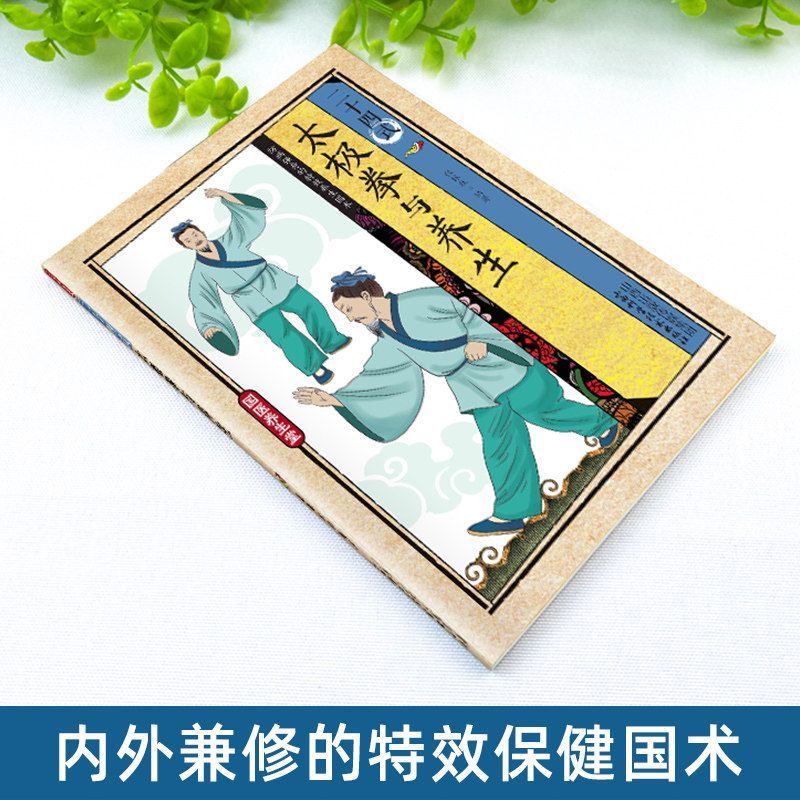 24 Stil Tai Chi ve Sağlık Egze - Health & Wellness Vector incelemesi ve fiyatı